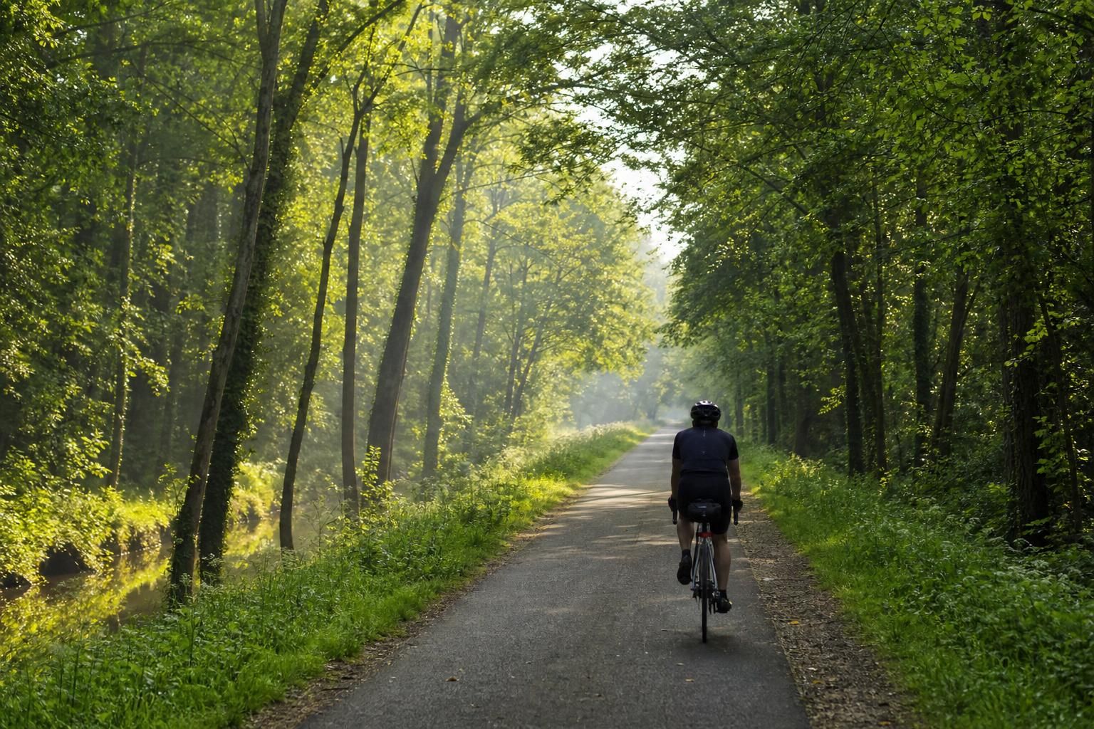 partez à la découverte de la voie verte nord, un itinéraire idéal pour les amateurs de nature et de vélo, offrant des paysages préservés et une expérience de plein air unique.