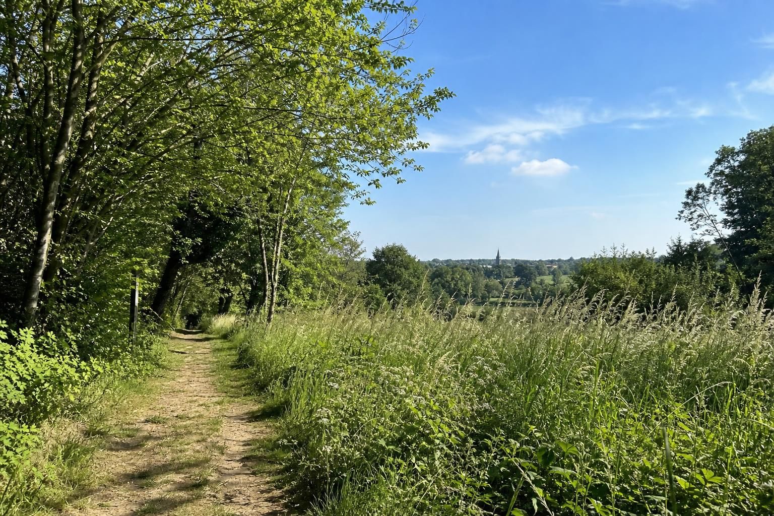 explorez les plus beaux sentiers de randonnée à bailleul et profitez de paysages naturels exceptionnels pour une aventure en plein air inoubliable.