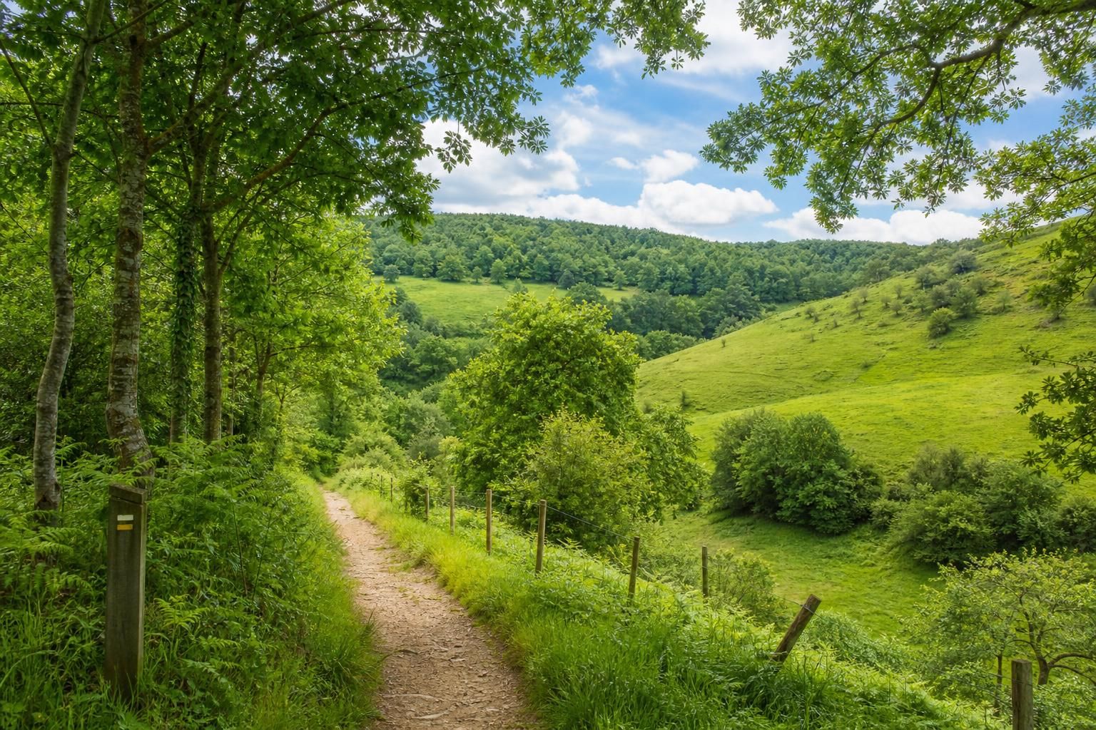 découvrez les plus belles randonnées du nord à explorer en 2026, entre paysages époustouflants et aventures inoubliables pour tous les passionnés de nature.