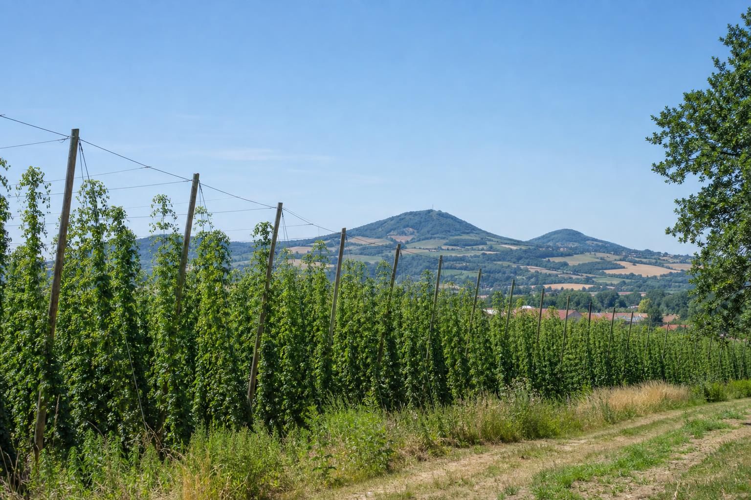 explorez le circuit bière en flandres et vivez une expérience unique, idéale pour les amateurs de bière souhaitant découvrir des saveurs authentiques et des brasseries traditionnelles.