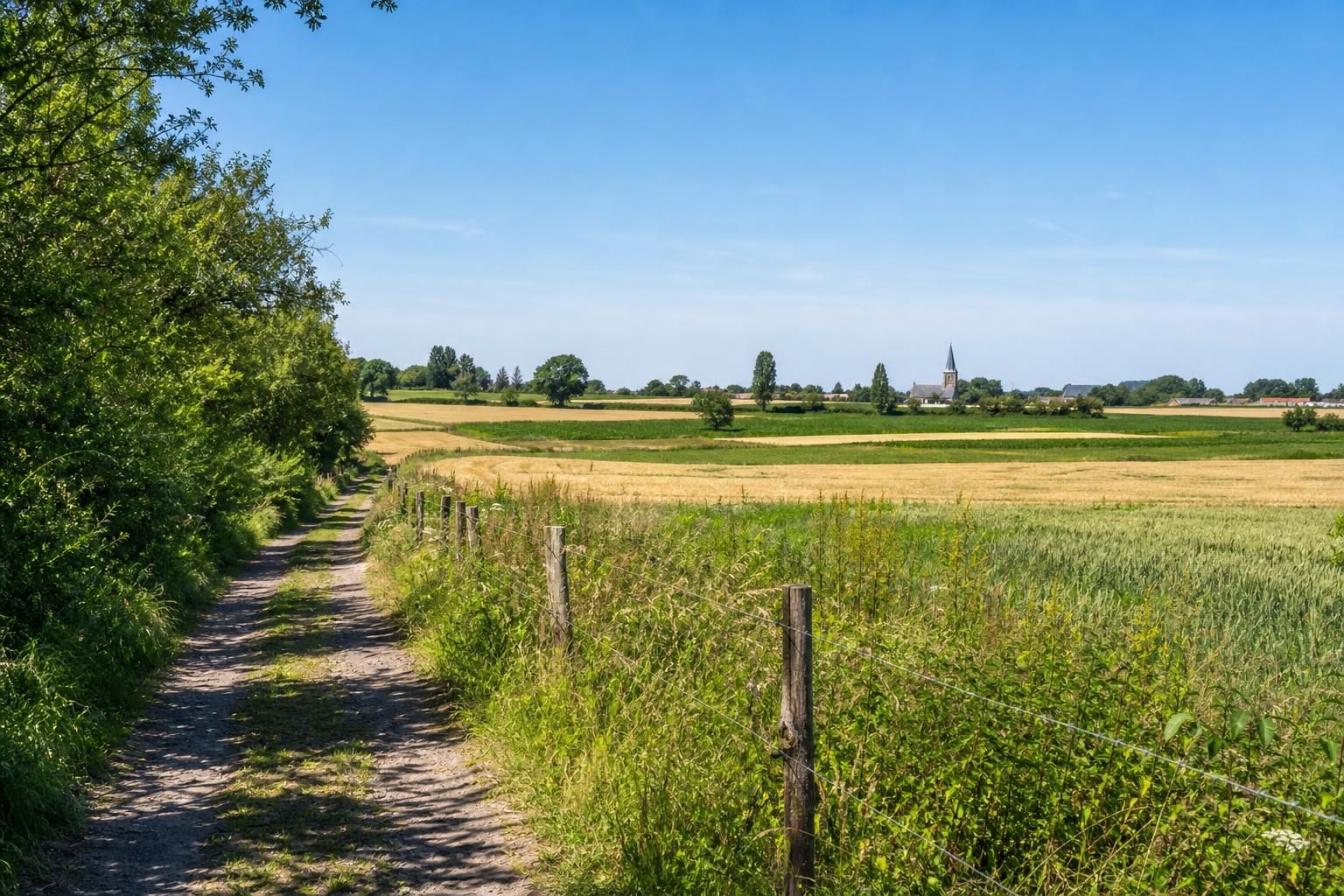 explorez les meilleurs sentiers de randonnée à nieppe en 2026 et préparez-vous à vivre des aventures inoubliables au cœur de paysages naturels exceptionnels.